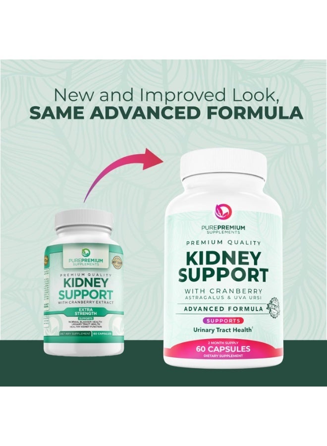 PUREPREMIUM SUPPLEMENTS مكمل دعم الكلى PurePremium للرجال والنساء - دعم المسالك البولية، دعم المثانة الطبيعية ومكملات لصحة الكلى - مستخلص التوت البري، الأستراجالوس وورق الأوفا أورسي - 60 كبسولة - Image 2